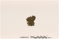 藏品(林氏絨衣)的圖片